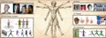 How to Build Digital Humans? From Priors to Photorealistic Avatars